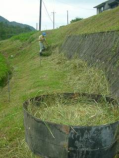 草刈り後の草を集めて堆肥にします