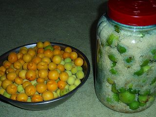 収穫した梅の実と砂糖漬け