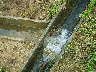 水管理不要の水の取り入れ口