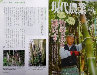 現代農業の2019年4月号に掲載された写真