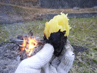 焚き火の後で焼き芋を作る