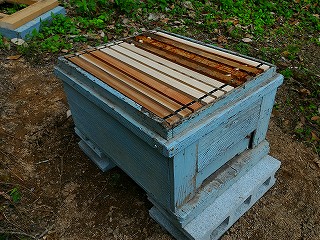 西洋ミツバチ用ラングストロス式巣箱の用意