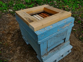 西洋ミツバチ用巣箱の蓋に26cm角の穴を開けて補強