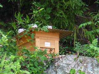 西洋ミツバチの巣箱