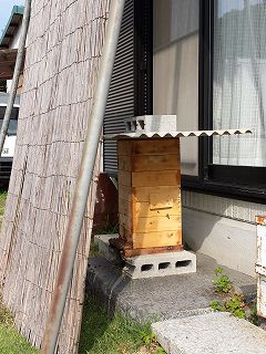 夏の暑さ対策をした日本ミツバチの巣箱