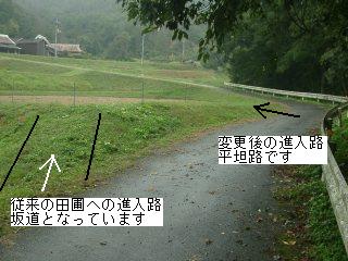 Approach to rice field (slope)